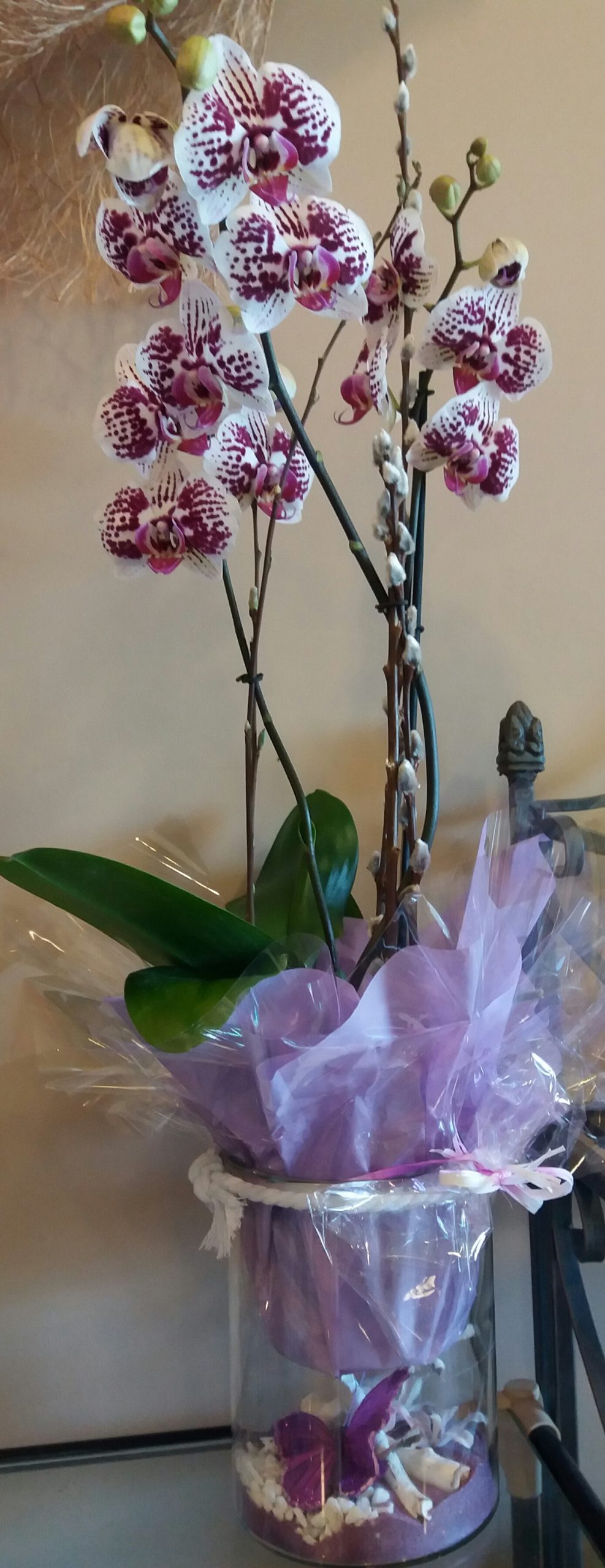 Orquidea Bicolor en Jarron Cristal | Floristería Chuchamel